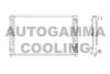 AUTOGAMMA 103875 Radiator, engine cooling